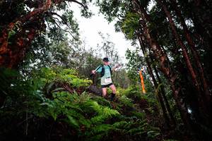 BIB: 
                            <button type="button" onclick="openModal(26205124)" class="btn btn-primary btn-sm float-right btn-popup" data-toggle="modal" data-target=".modal-high-quality">
                        <i class="fas fa-shopping-cart"></i> Add to Cart
                    </button>
                                            <button type="button" onclick="isThisMe(26205124, true)" class="btn btn-success btn-sm float-right btn-popup btn-isme hidden" data-toggle="tooltip" data-placement="bottom" title="นี่คือรูปของคุณใช่ไหม คลิกที่นี่เพื่อเอาเข้าอัลบั้ม">
                        <i class="fas fa-plus"></i> Add to album
                    </button>
                    <button type="button" onclick="isThisMe(26205124, false)" class="btn btn-warning btn-sm float-right btn-popup btn-isnotme hidden">
                        <i class="fas fa-ban"></i> Remove from album
                    </button>